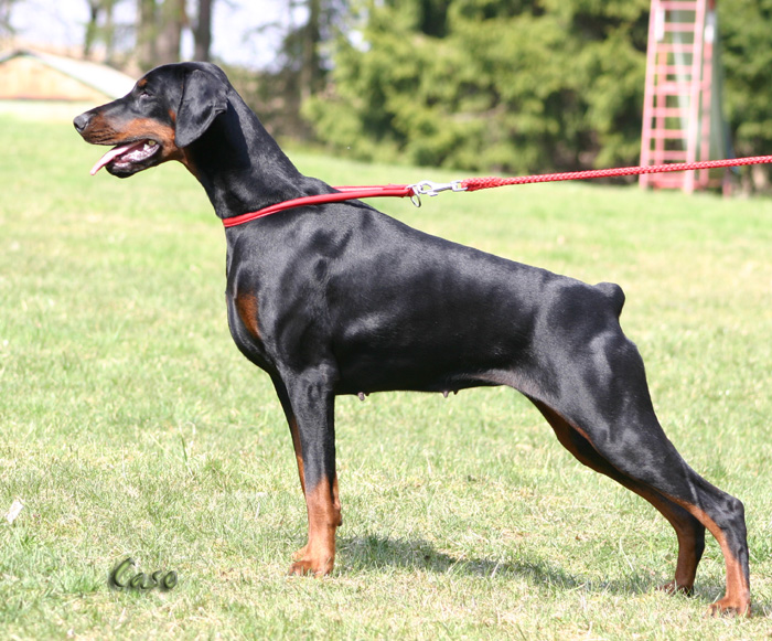 bonieIMG_1625.JPG_kopie