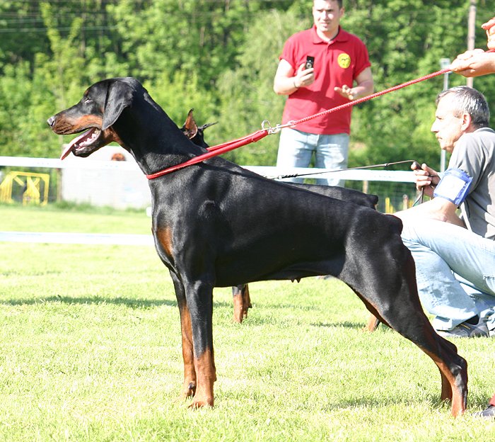 boniIMG_2276