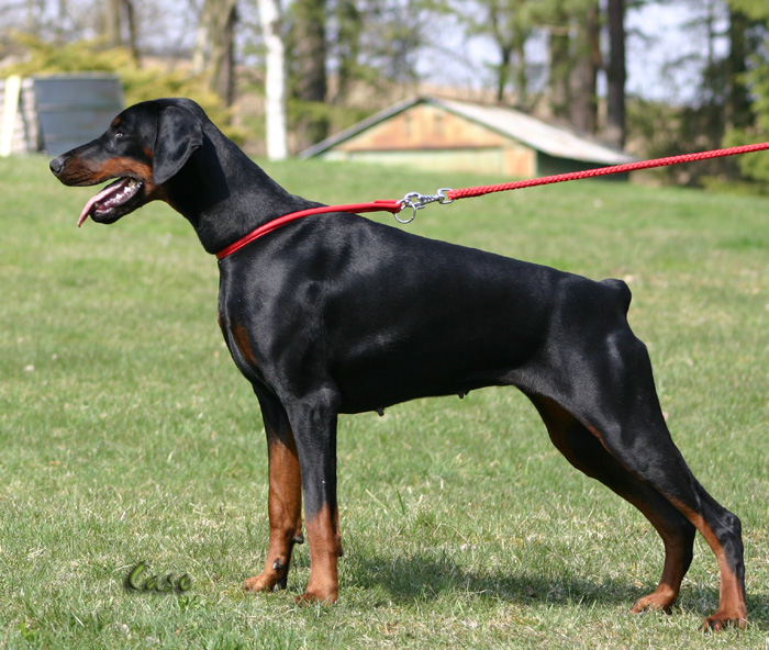 bonieIMG_1627.JPG_kopie