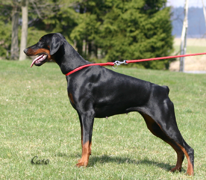 bonieIMG_1628.JPG_kopie