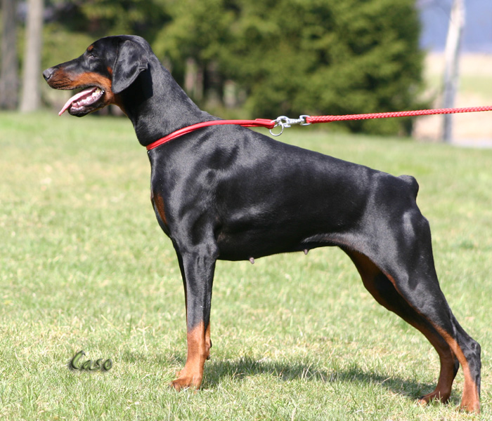 bonieIMG_1629.JPG_kopie