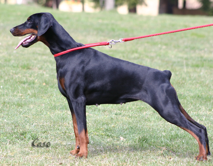 bonieIMG_1631.JPG_kopie