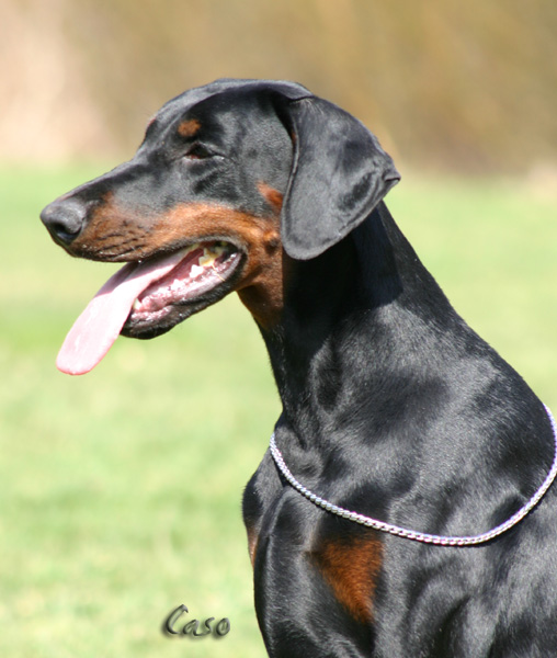 bonieIMG_1646.JPG_kopie