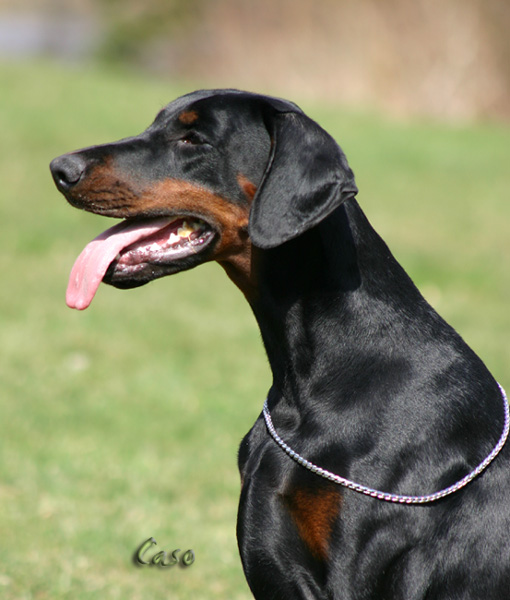 bonieIMG_1649.JPG_kopie
