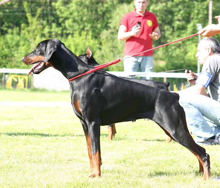 boniIMG_2275