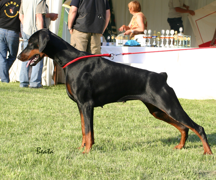 bonnieIMG_2413_kopie